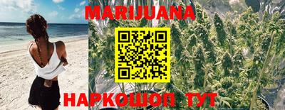 сатива Обь