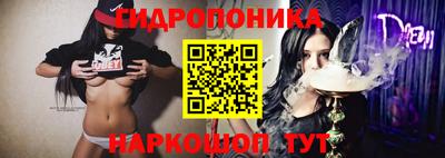 сатива Обь