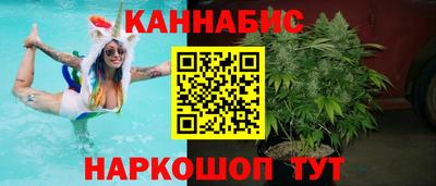 сатива Обь