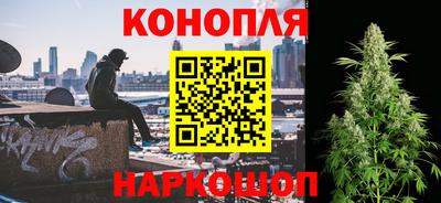 сатива Обь