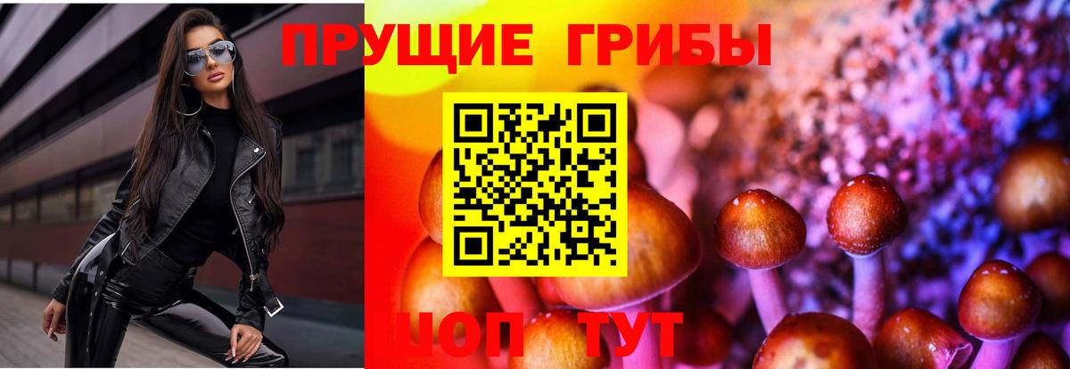 Галлюциногенные грибы прущие грибы  Вход с VPN  Усинск  Галлюциногенные грибы мухоморы 